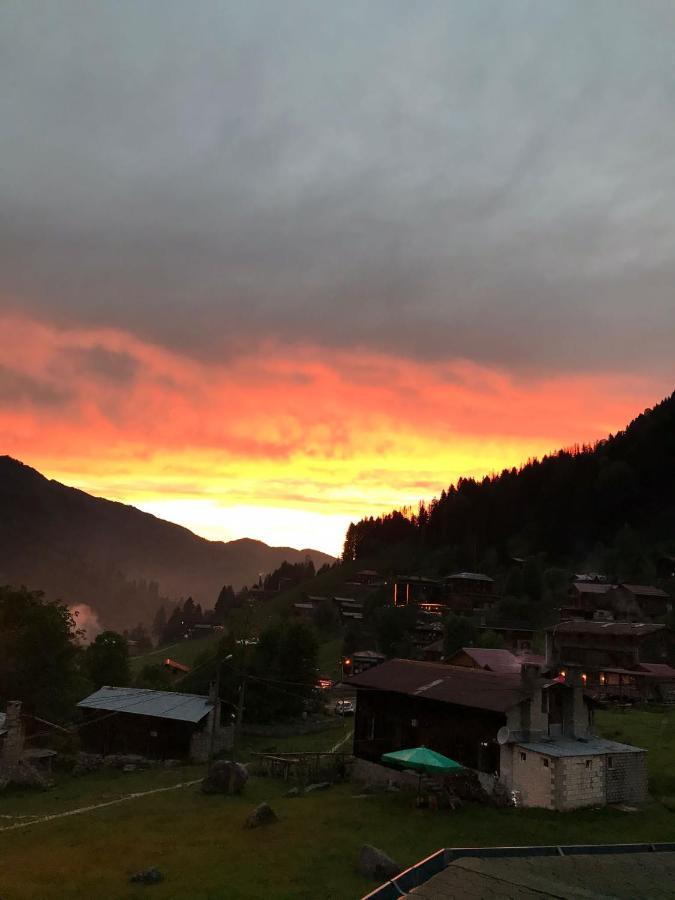 Dolunay Apartment