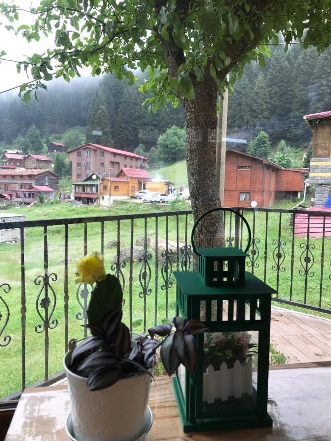 Dolunay *
