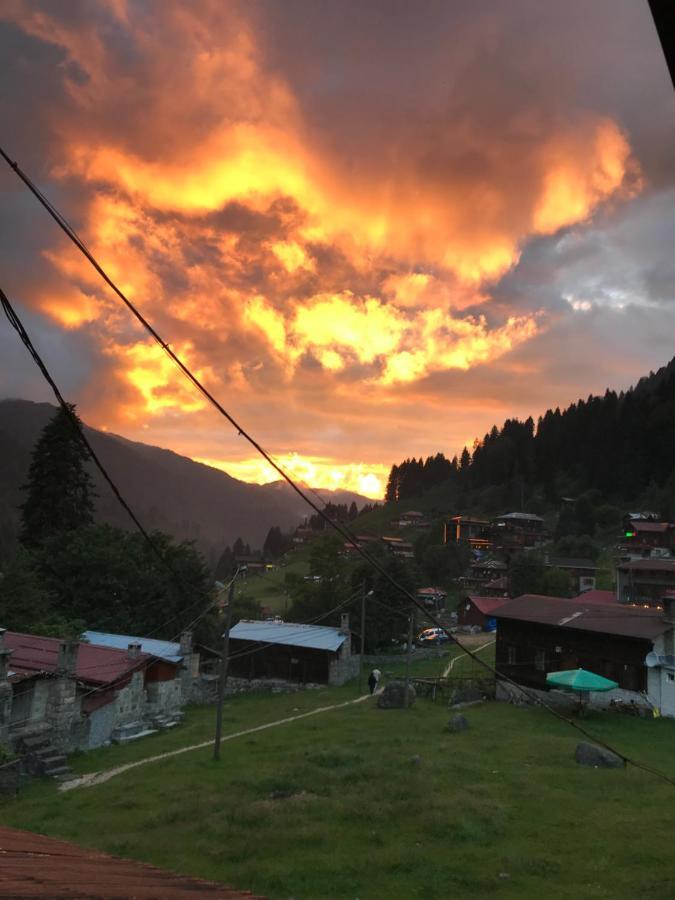 Dolunay Ayder Yaylasi