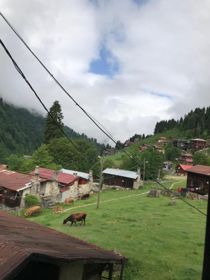 Dolunay Apartment Ayder Yaylasi