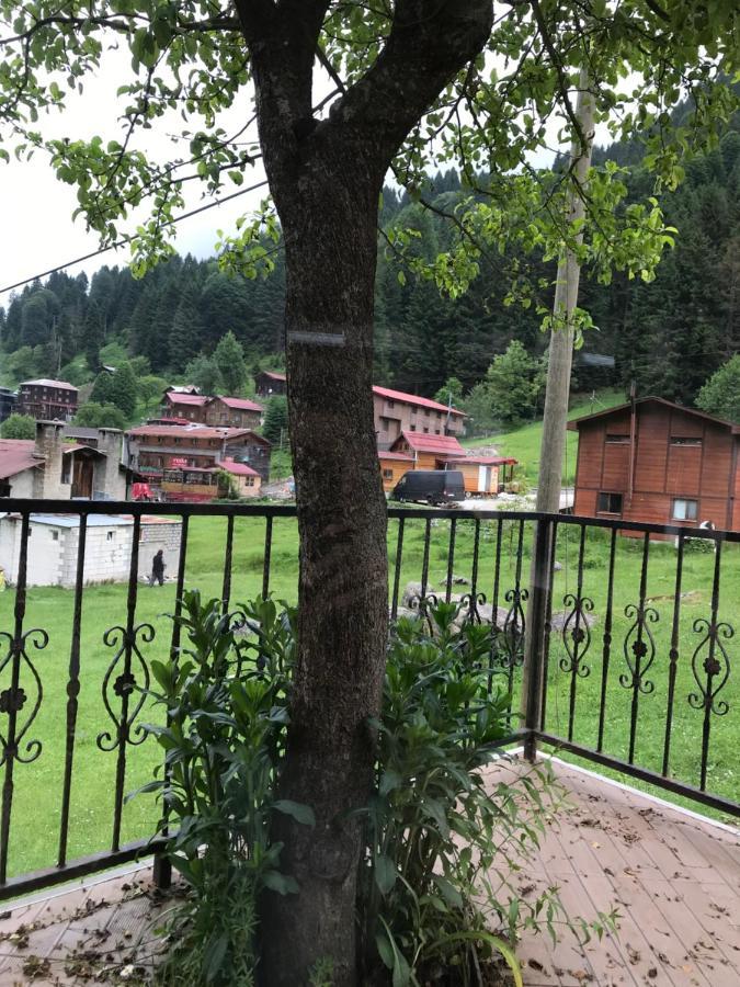 Dolunay