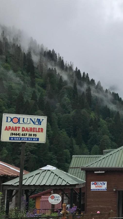 Dolunay Apartment *