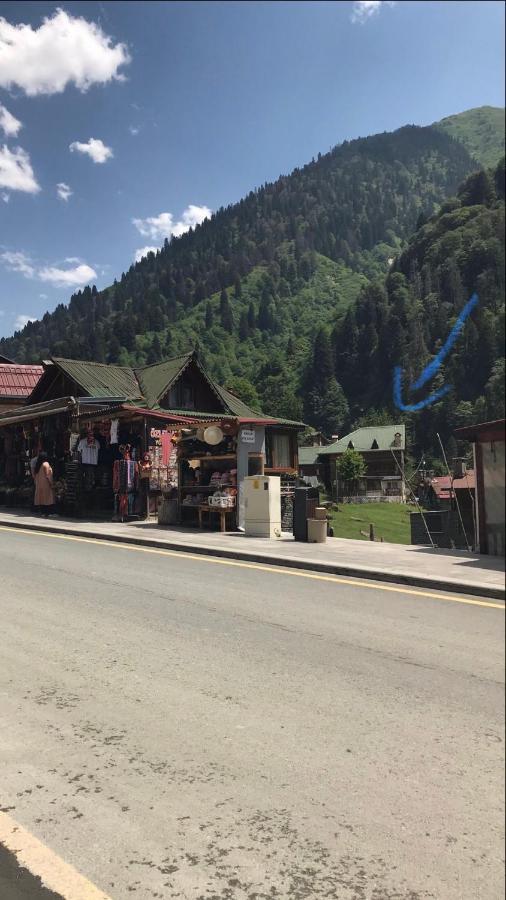 Dolunay