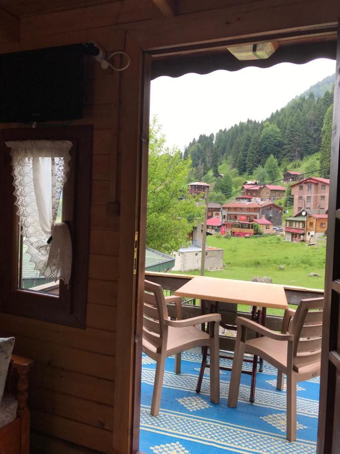 Apartment Dolunay Ayder Yaylasi