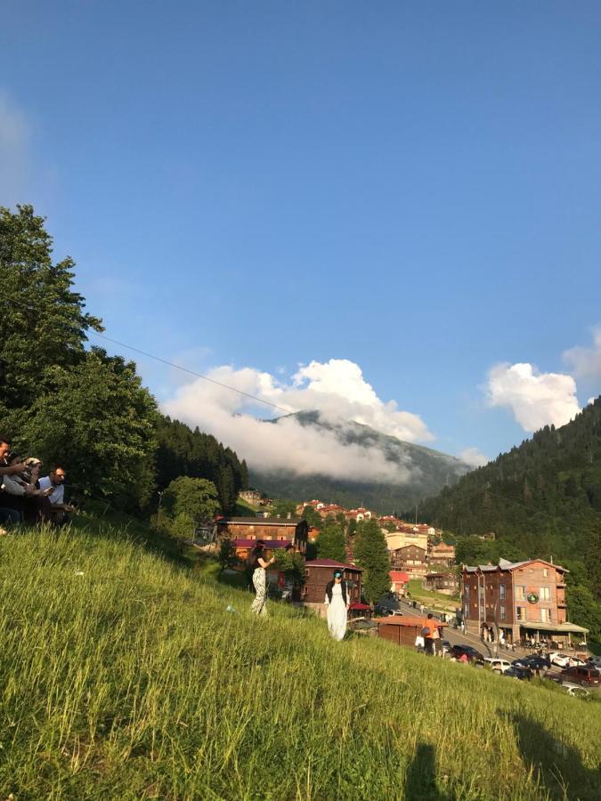 Apartment Dolunay