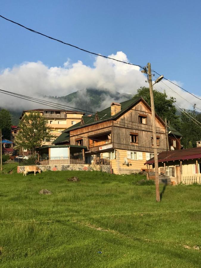Dolunay Apartment Ayder Yaylasi