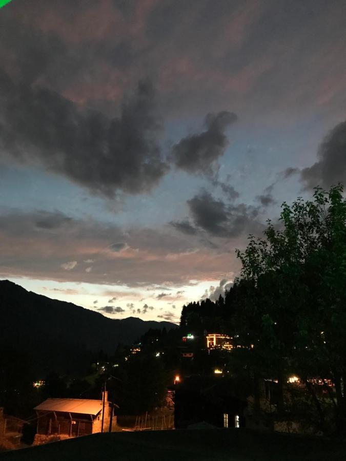 Apartment Dolunay