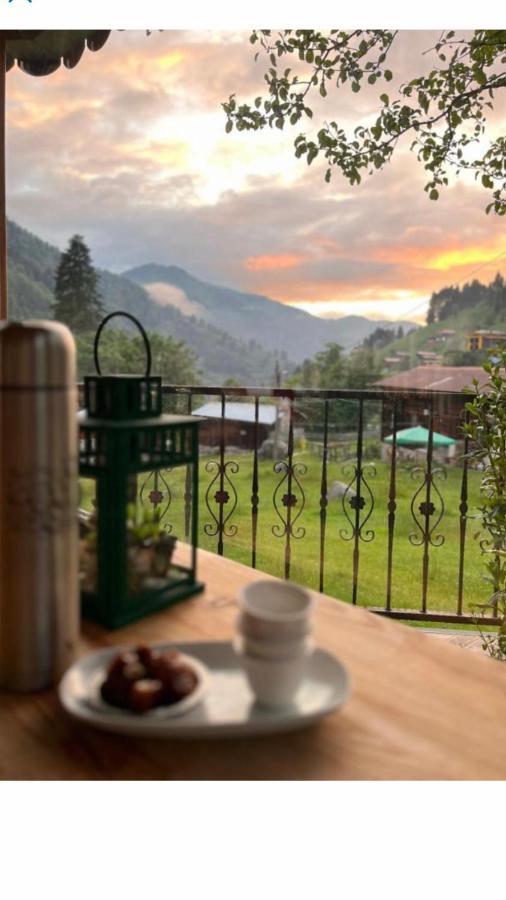 Dolunay Apartment