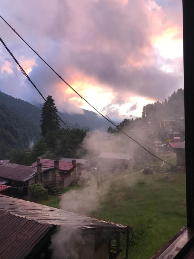 Dolunay Apartment *