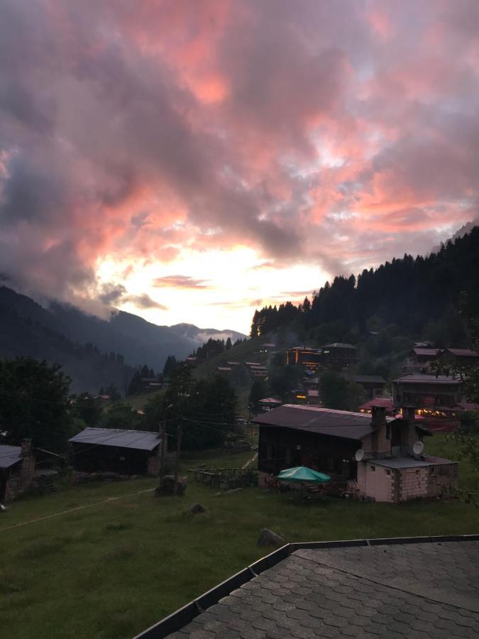 Dolunay Apartment *