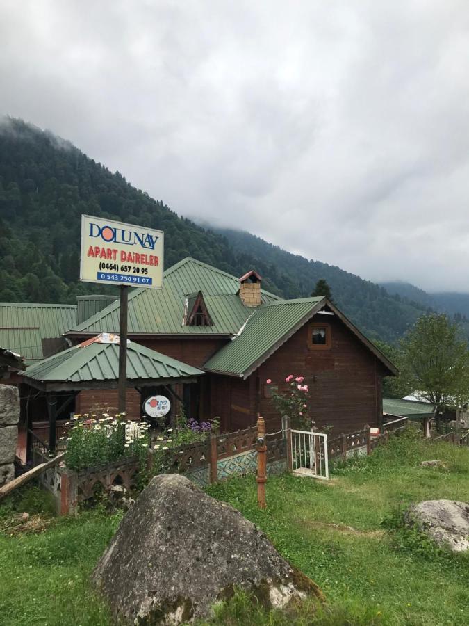 Dolunay *