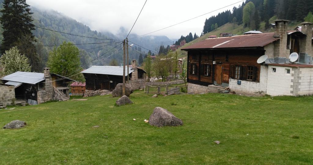 Dolunay