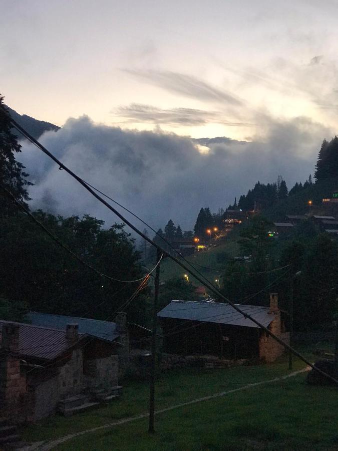 Dolunay Apartament