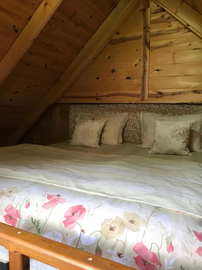 Apartament Dolunay *
